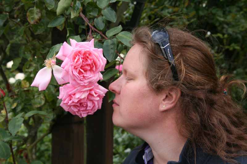 Nieuw-Zeeland 2011 - 2157